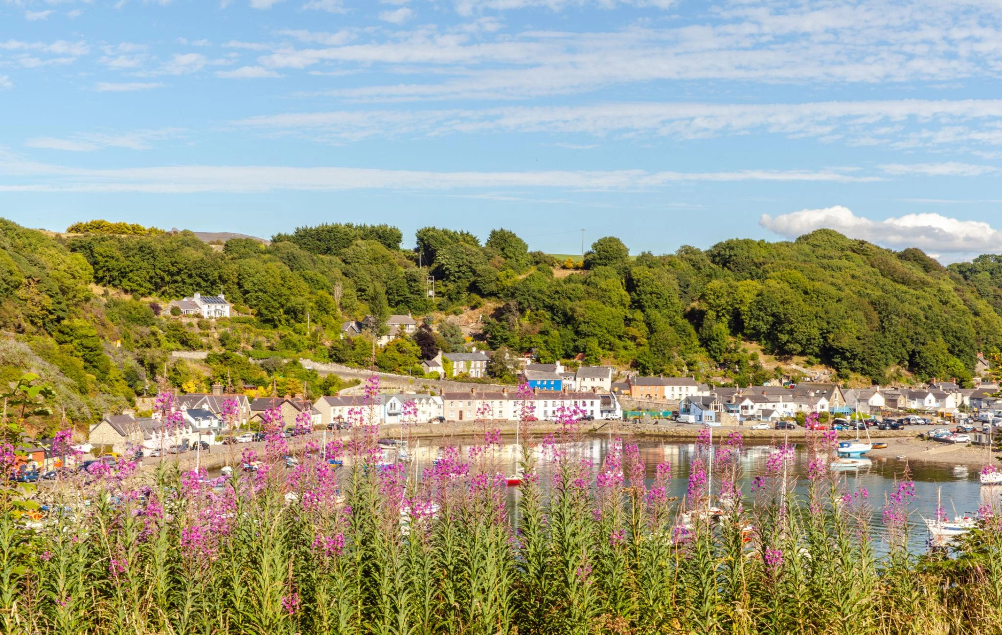 Fishguard veerboot bestemming