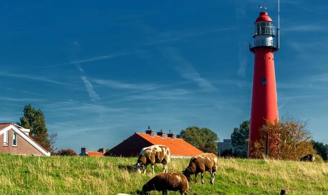 Hoek van Holland strand, duinen en Noordzeekust in de Nederland