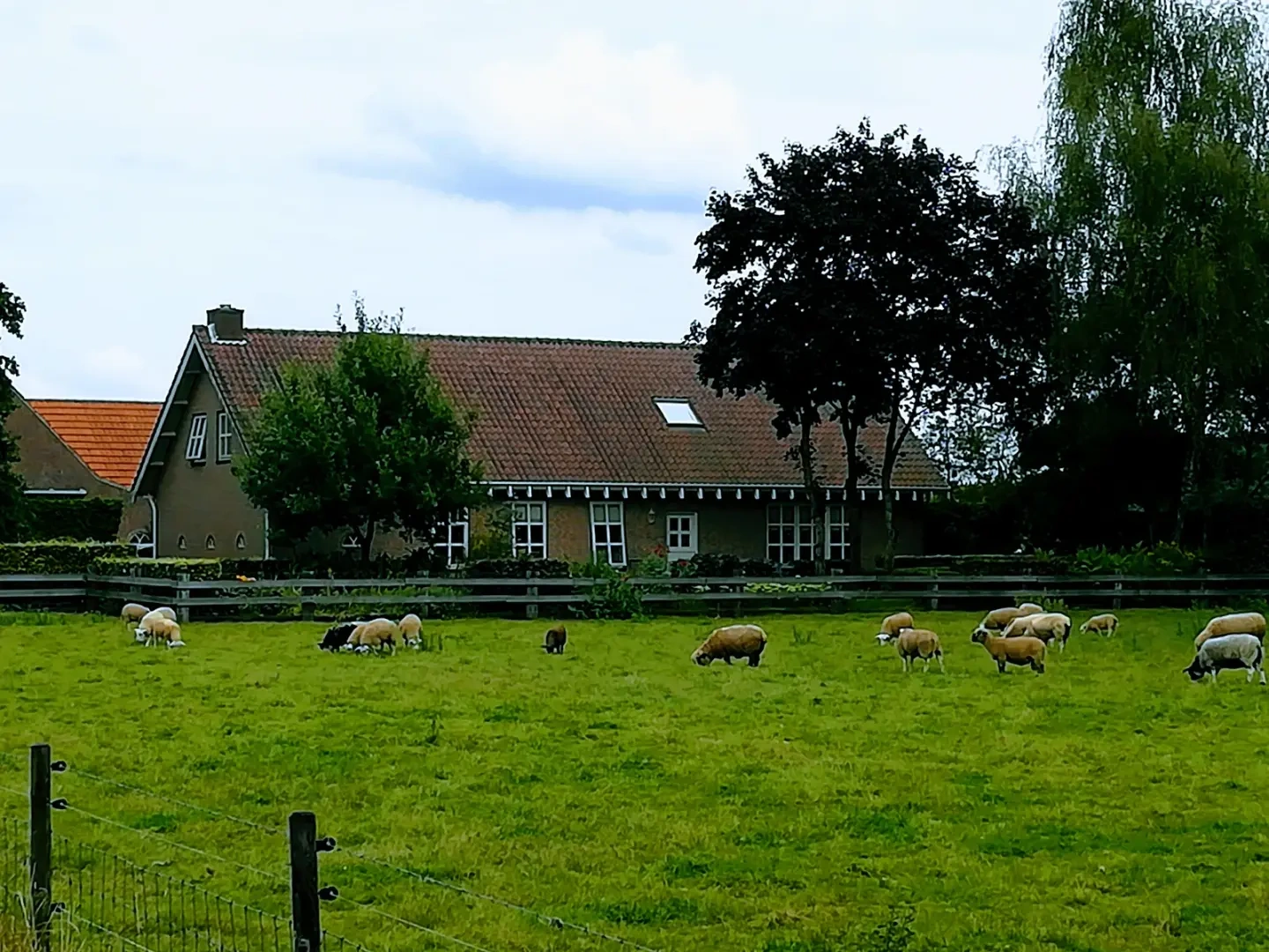 Fehmarn stranden, kust en bezoeker hoogtepunten nabij Puttgarden