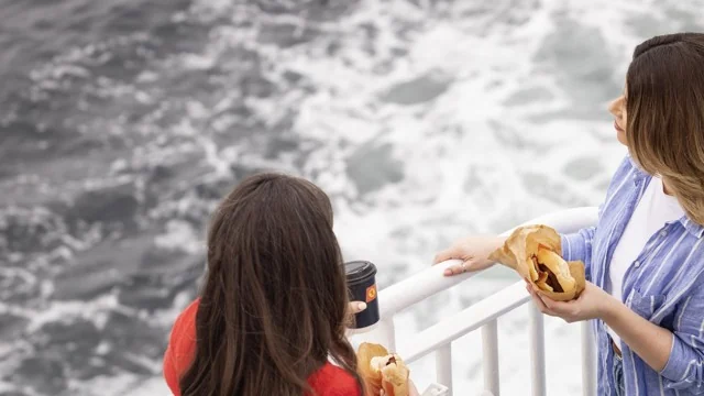 Passagiers op de openen dek aan boord CalMac veerboot MV Clansman