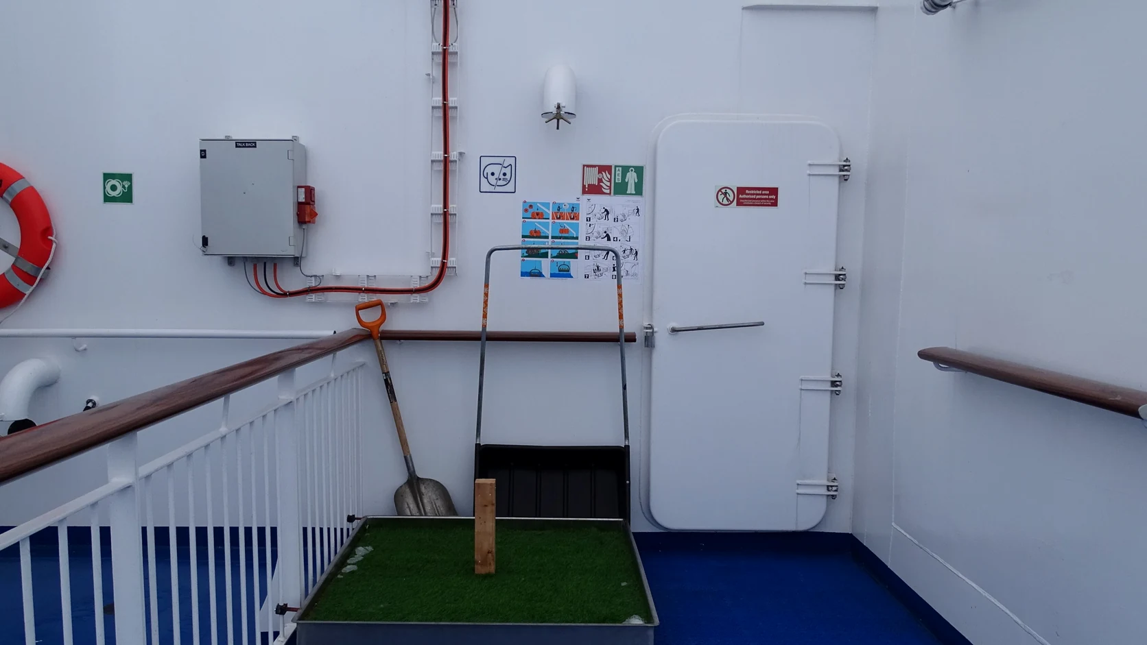 Speciale huisdier faciliteiten aan boord Aurora Botnia